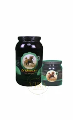 پروبیوویت فانتوم(پروبیوتیک پلاس)probiovit phantom