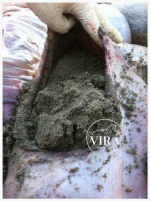 مکمل sandXpell Trm(فیبر حجم دهنده) حرکت سالم در سراسر روده راتشویق می کند - تصویر 5