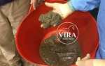 مکمل sandXpell Trm(فیبر حجم دهنده) حرکت سالم در سراسر روده راتشویق می کند - تصویر 6