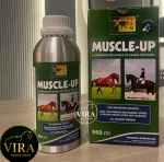 Muscle_up Trmعضله ساز اسب - تصویر 2