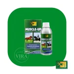 Muscle_up Trmعضله ساز اسب