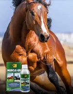 Muscle_up Trmعضله ساز اسب - تصویر 4