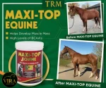 MaxiTop equine مکمل نگهدارنده عضله ماکسی تاپtrm - تصویر 3