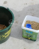 Trmمکمل پروبیوتیک و درمان زخم معدهGNF PELLETS Gut Nutrition Formula - تصویر 7